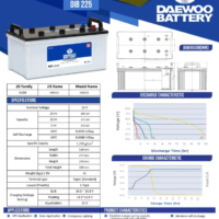 Daewoo 200 Data Sheet