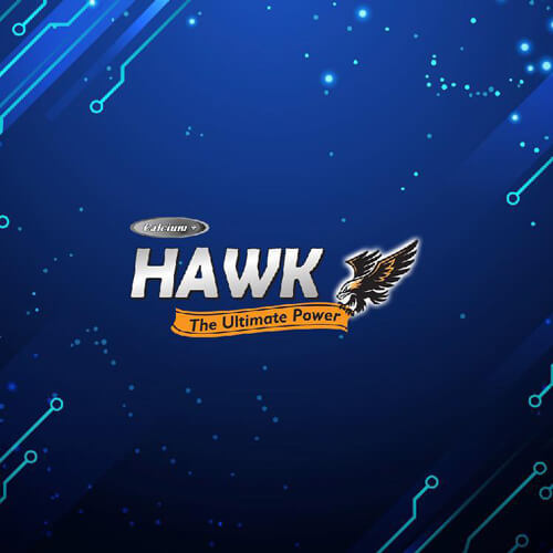 Hawk Battery Logo