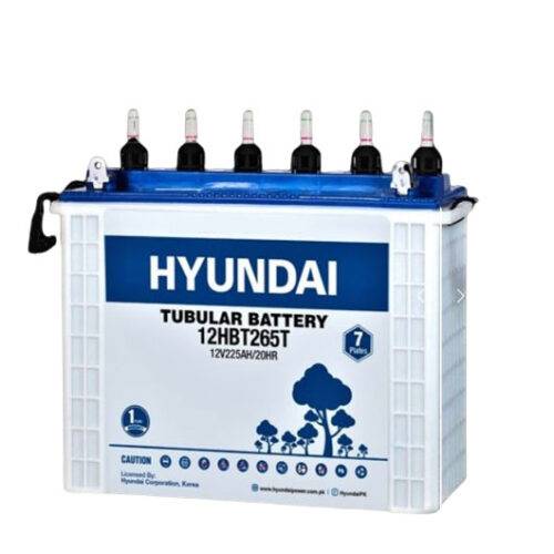 Hyundai 265T tubular battery price pakistan